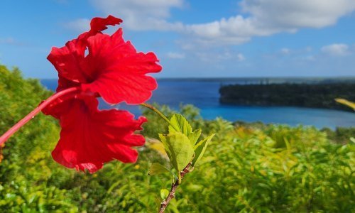 Panama Tiere 18 - Kolumbien Individual
