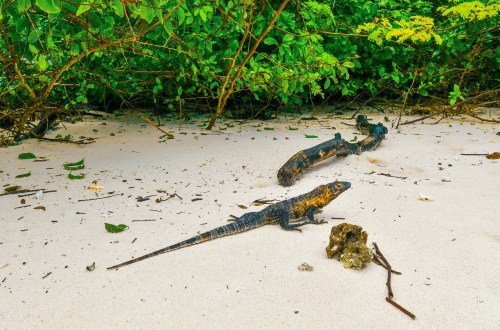 Panam kultur 1 - Kolumbien Individual