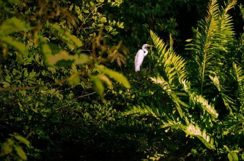 Panam kultur 12 - Kolumbien Individual