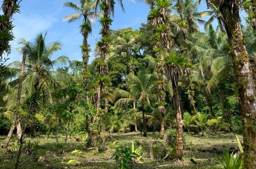 Panam kultur 5 - Kolumbien Individual