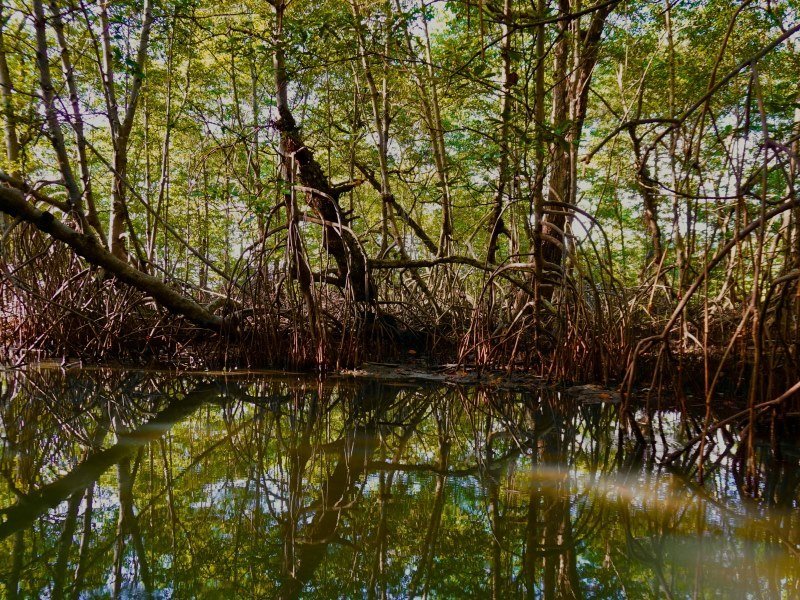 Agua dulce 1 - Kolumbien Individual