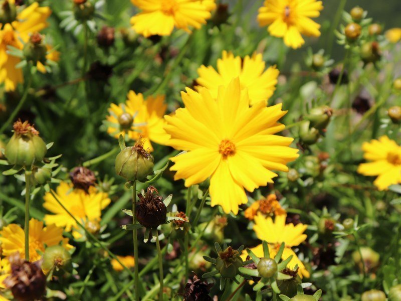 panama 14 - Kolumbien Individual